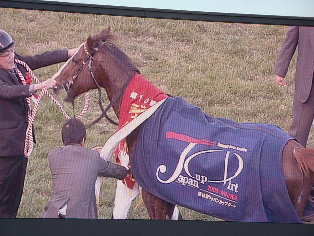 割引中 当時物 2000年 1回 GⅠ ジャパンカップダート 競馬 Tシャツ